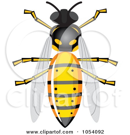 Free Raster Vector on Bee Clipart Royalty Free 11761 Bee Clip Art Vector Eps   Photography