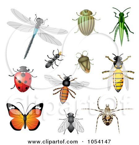 Free Paintings Images on Poster  Art Print  Digital Collage Of Insects By Vectorace