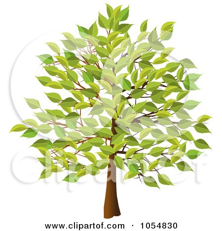 Free Vector on Royalty Free Vector Clip Art Illustration Of A Summer Tree By Elaine
