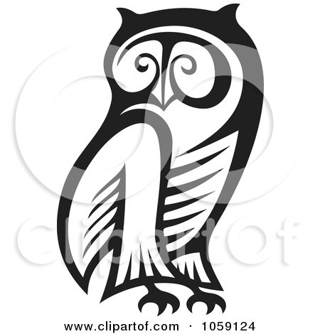 Black And White Owl. of a Black And White Owl