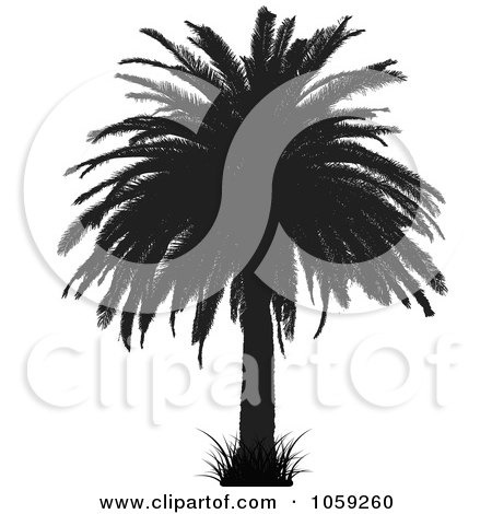 palm tree silhouette clip art. Royalty-Free Vector Clip Art