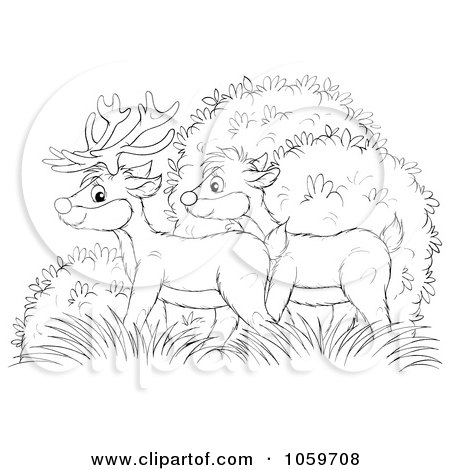 Deer Coloring on Of A Coloring Page Outline Of A Deer Pair In Bushes By Alex Bannykh