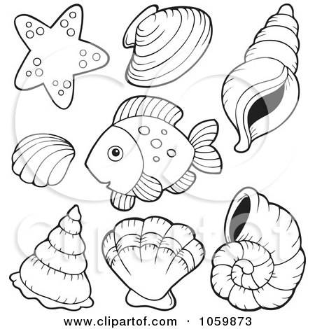 Coloring Sheets on Of Coloring Page Outlines Of Shells And A Fish By Visekart  1059873