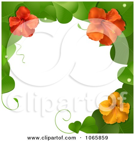 Clipart 3d Hibiscus Flower And