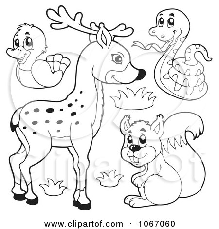 Rainforest Animals Coloring on Clipart Outlined Forest Animals 1   Royalty Free Vector Illustration