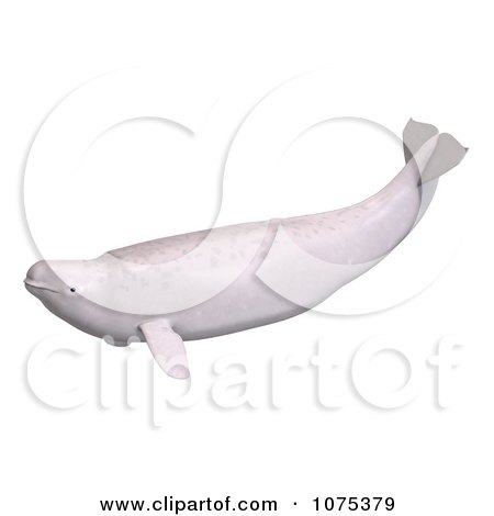 beluga whale silhouette