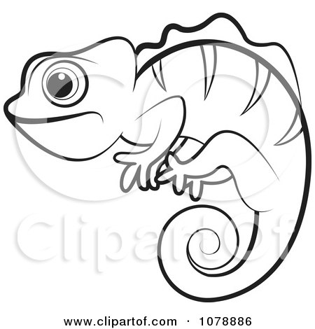 Vector Royalty on Clipart Outlined Chameleon Lizard   Royalty Free Vector Illustration