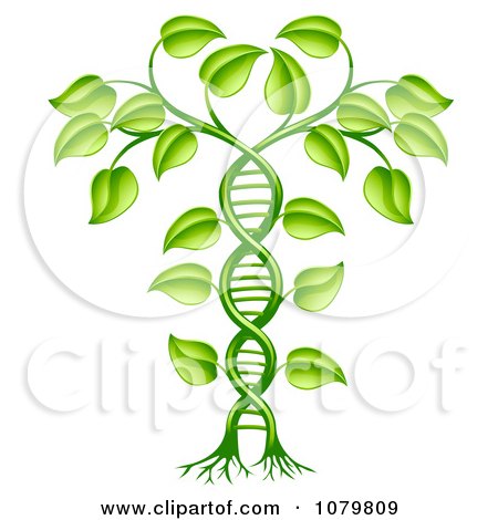 Wall  on Poster  Art Print  3d Green Dna Crop Gene Modification Helix Plant By