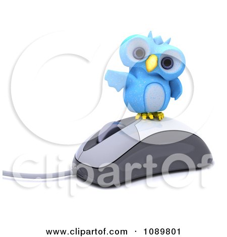 Owl Computer