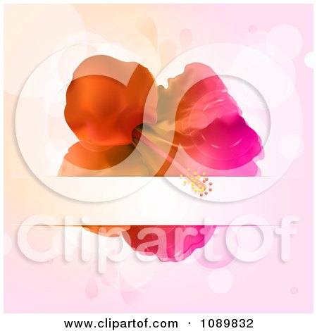 3d Gradient Hibiscus Flower With A Text Bar Over Flares by Elaine Barker