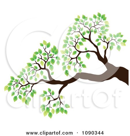 Spring Coloring Sheets on Clipart Tree Branch With Green Spring Leaves   Royalty Free Vector