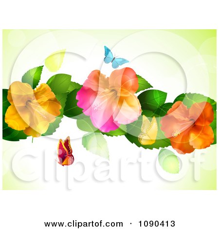 Colorful Butterflies on Clipart Background Of Butterflies And Colorful Hibiscus Flowers With