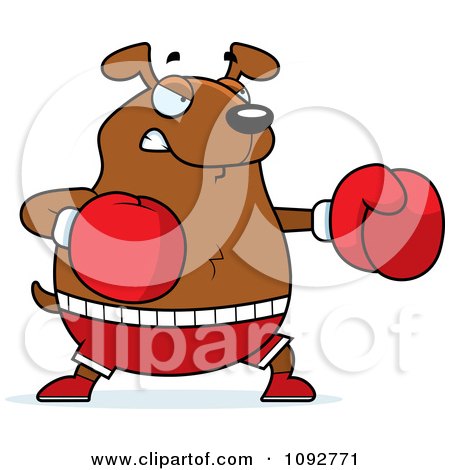 Chubby Dog Boxing by Cory