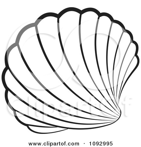 Seashell Clipart Black And White