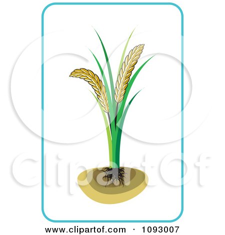 Wheat Vector Free on Clipart Wheat Plant And Blue Frame   Royalty Free Vector Illustration