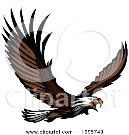 Eagle Wings Tattoo on Clipart Wild Bald Eagle Flying With Spread Wings   Royalty Free Vector