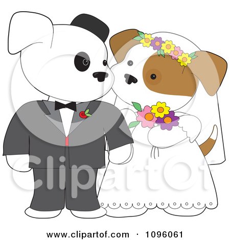 Two Wedding Puppies Gazing At Each Other During Their Marriage Ceremony by