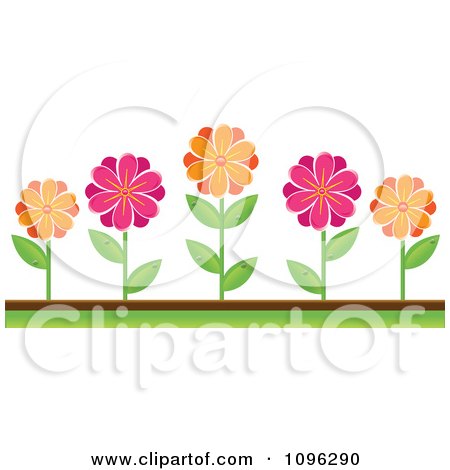 Clipart Pink And Orange Daisies In A Flower Bed - Royalty Free Vector ...