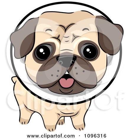 Royalty-Free Vector Clip Art Illustration of a Cute Pug ...