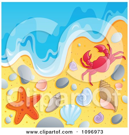 Beach Background With The Ocean Surf Shells Crab And Starfish