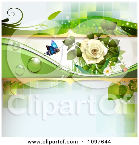 Clipart Spring Time Or Wedding Background With A White Rose And A Butterfly 