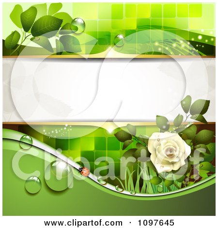 Green Wedding Or Spring Background With A Dewy White Rose And Ladybug by