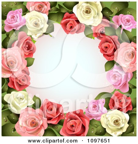 Valentines Day Or Wedding Background With Pink And White Dewy Roses
