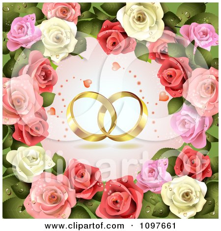 Engagement Or Wedding Background Golden Rings And Dewy Roses by merlinul