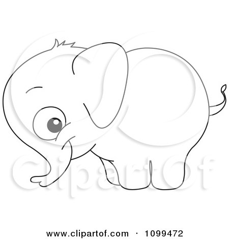 Free Vector Line Drawings on Baby Elephant   Royalty Free Vector Illustration By Yayayoyo  1099472