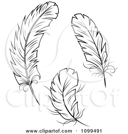 India  Vector Free Download on Feathers   Royalty Free Vector Illustration By Seamartini Graphics
