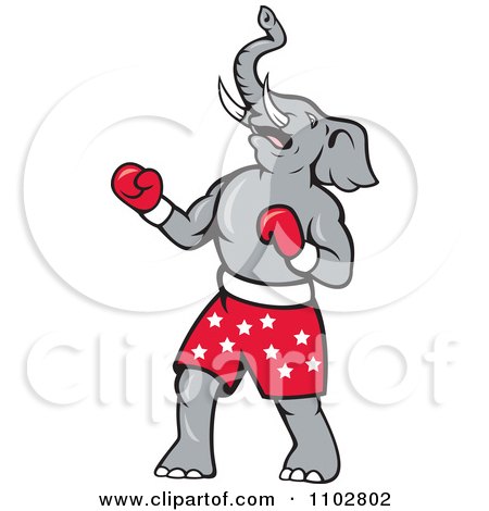 Elephant Boxers