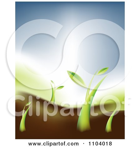 Plant Growing Clipart