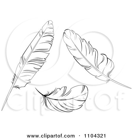 Free Vector  Illustrator on Feathers   Royalty Free Vector Illustration By Seamartini Graphics