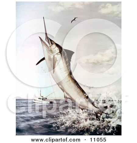 Royalty-free animal clipart picture of a Striped Marlin (Tetrapturus audax) 