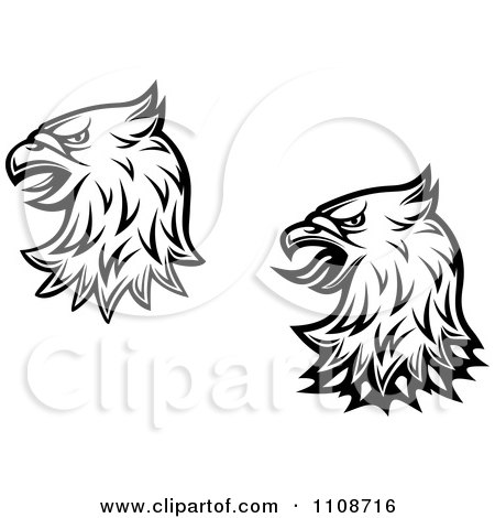 Free Vector Graphics Illustrator on Eagle Heads   Royalty Free Vector Illustration By Seamartini Graphics