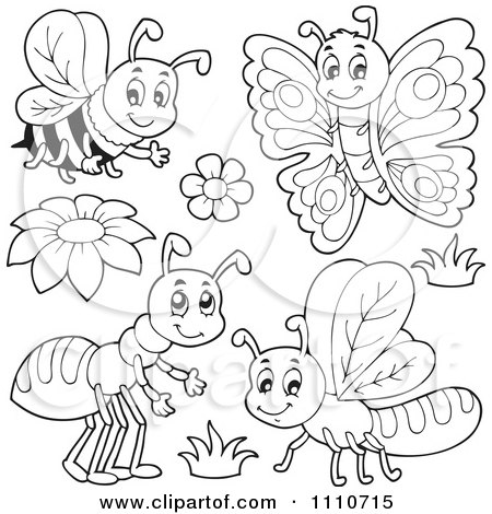 Butterfly Coloring Sheets on Clipart Outlined Bee Butterfly Ant And Dragonfly   Royalty Free Vector