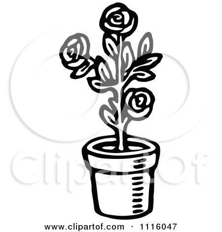 Free Vector  Flowers on Potted Rose Plant   Royalty Free Vector Illustration By Prawny Vintage