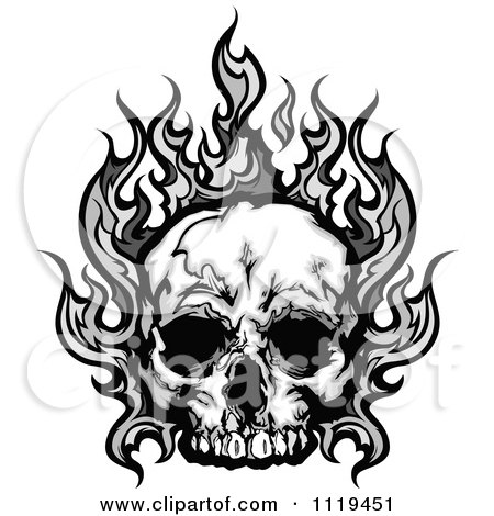 Vector Illustrator Free Download on Skull With Gray Flames   Royalty Free Vector Illustration By Chromaco