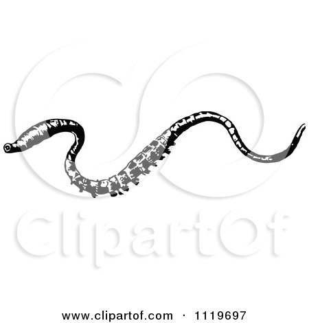 Free Vector Grass on Royalty Free  Rf  Clipart Of Worms  Illustrations  Vector Graphics  1