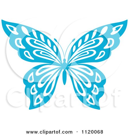 Free Vector on Butterfly 2   Royalty Free Vector Illustration By Seamartini Graphics