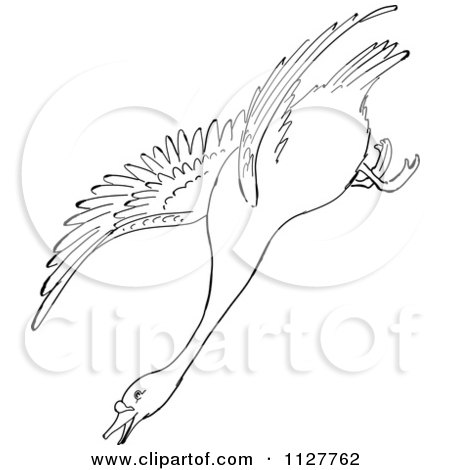 Vintage Wallpaper on 1127762 Cartoon Of A Retro Vintage Black And White Swan Descending In