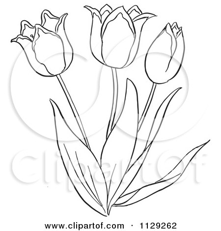 RoyaltyFree RF Clipart of Tulips Illustrations Vector