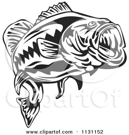 Free Fish Vector  on Royalty Free  Rf  Bass Clipart  Illustrations  Vector Graphics  1