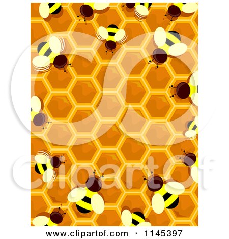 Honey Bee Border