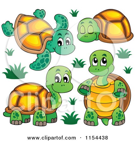 Cartoon of Cute Turtles - Royalty Free Vector Illustration ...