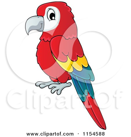 Free Vector  Downloads on Of A Red Parrot   Royalty Free Vector Clipart By Visekart  1154588