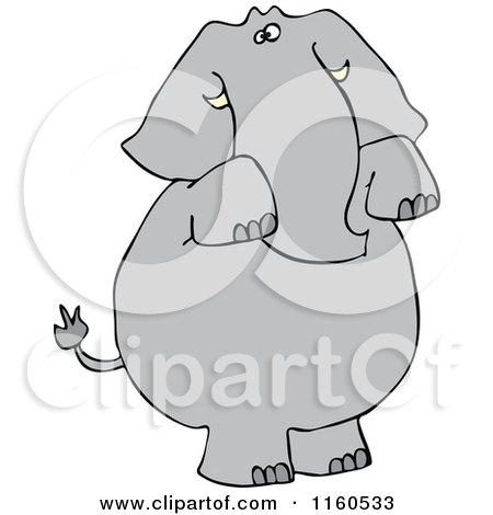 Cartoon of an Elephant Standing and Begging - Royalty Free ...