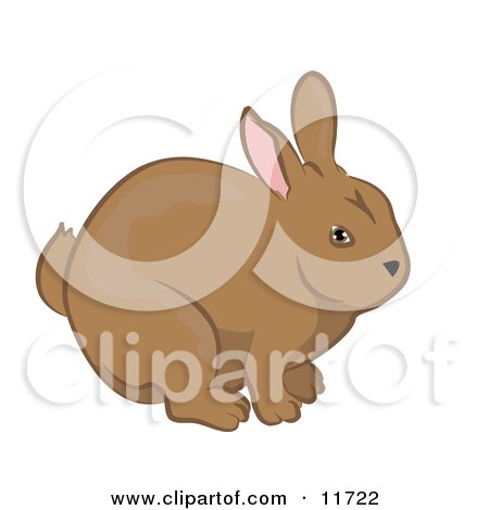 cute rabbit clipart. Cute Brown Bunny Rabbit
