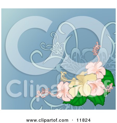 http://images.clipartof.com/small/11824-Yellow-And-Pink-Hibiscus-Flower-Background-Clipart-Illustration.jpg