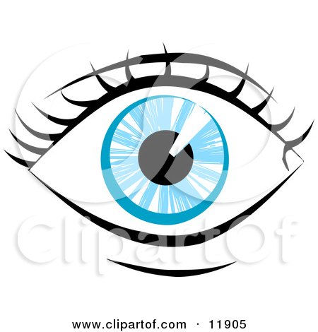 Flower Coloring Sheets on Blue Human Eye And Eyelashes Clipart Illustration By Geo Images  11905